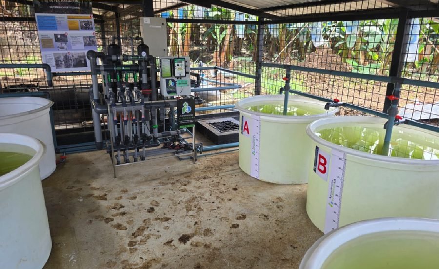 Instalación de fertirriego en cultivo de banano